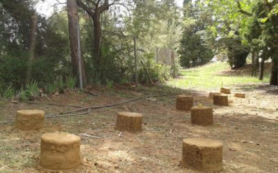 Les 25 regles bàsiques de la bioconstrucció
